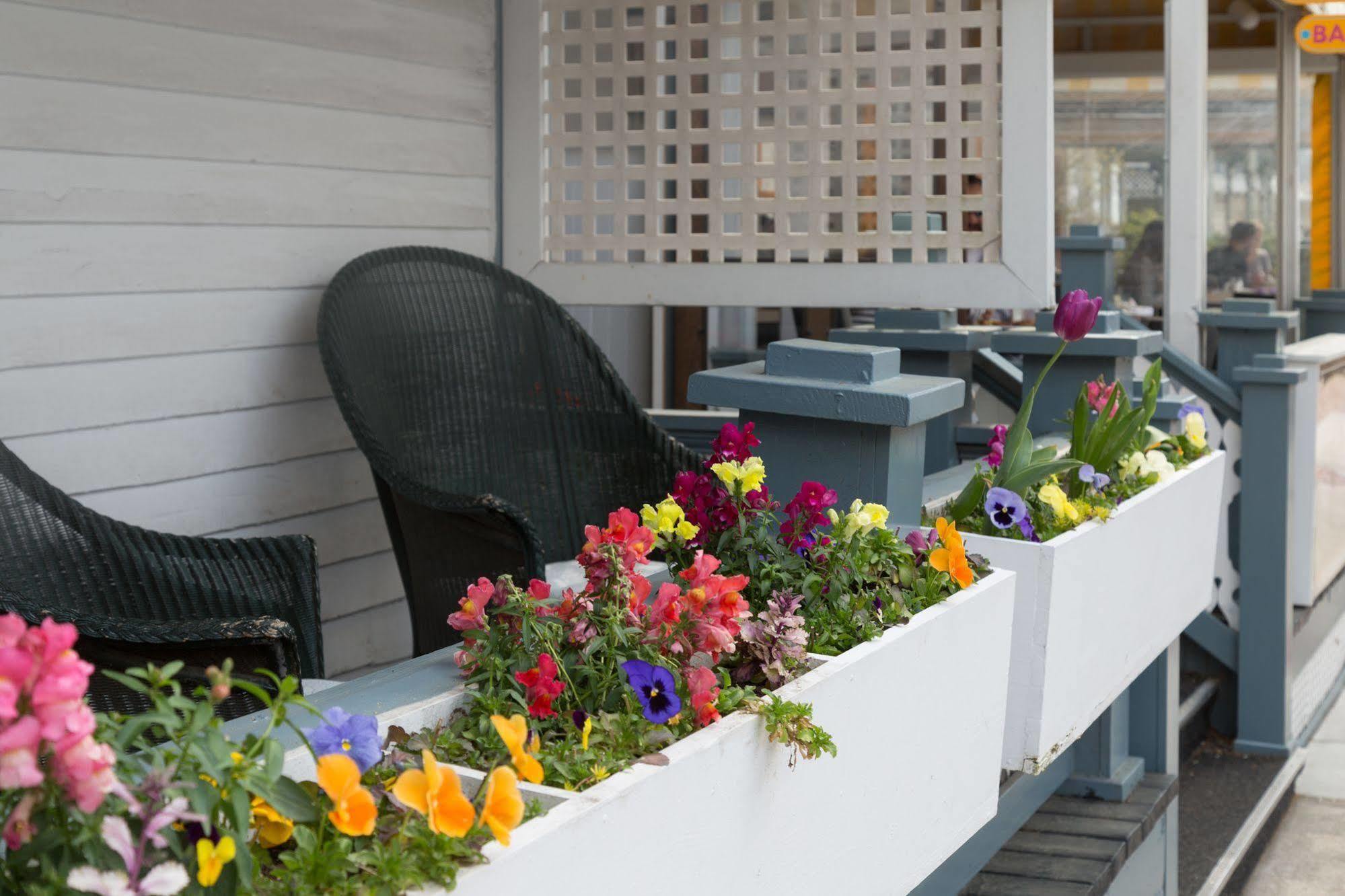 The Carroll Villa Hotel Cape May Eksteriør bilde